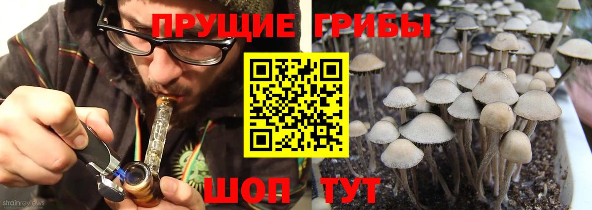 Псилоцибиновые грибы ЛСД Великий Устюг